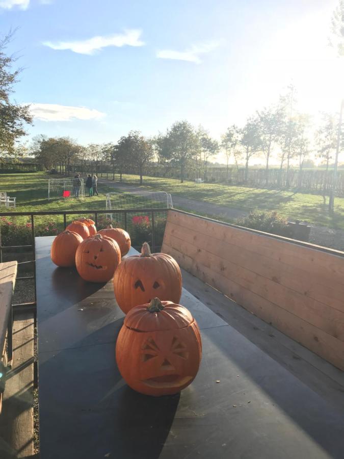 Bremsmaj Farm Holiday Kværs Exterior foto