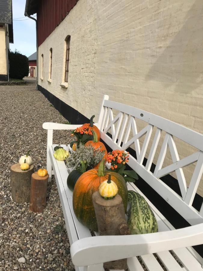 Bremsmaj Farm Holiday Kværs Exterior foto